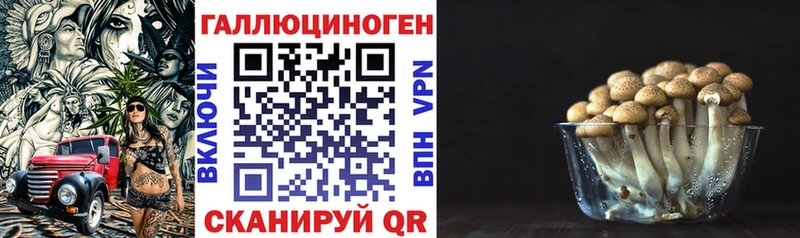 Псилоцибиновые грибы Cubensis  Петушки 